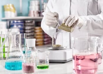 Why GMP Standards Matter in Nutraceutical Production
