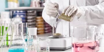 Why GMP Standards Matter in Nutraceutical Production